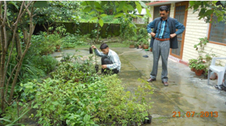 Tree Planting